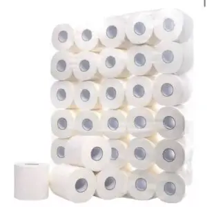 Toilet Roll 2ply 300 Sheet 48 Pack (4x12PK) Poly Bag