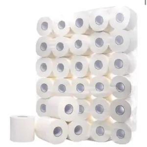Toilet Roll 2ply 300 Sheet 48 Pack (4x12PK) Poly Bag